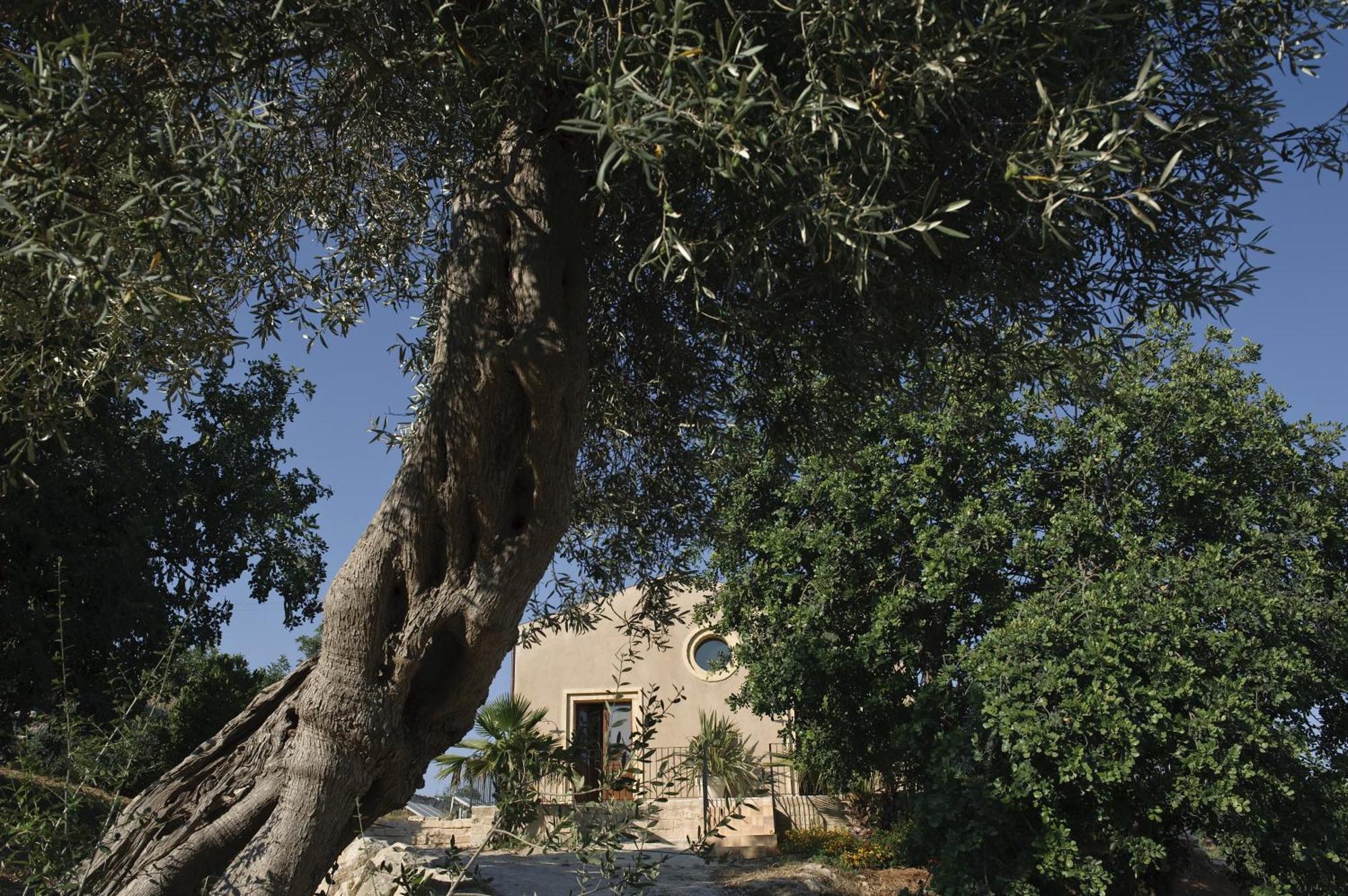 ホテル Relais Parco Cavalonga ドンナフガタ 部屋 写真